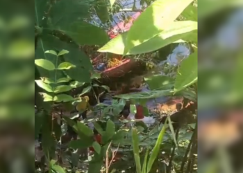 Jovem morre afogado após mergulho em flutuante em Manaus