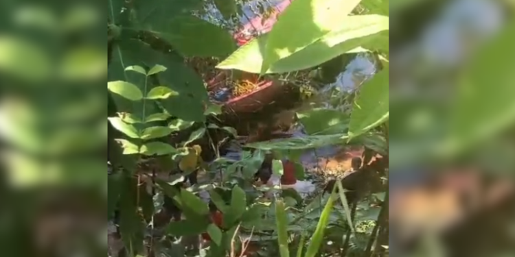 Jovem morre afogado após mergulho em flutuante em Manaus