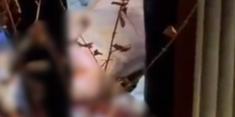 Homem é retirado de casa por criminosos, morto a tiros e arremessado do segundo andar em Manaus