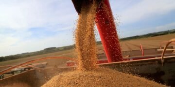 Trump anuncia acordo para baratear carne nos EUA e suspende tarifa extra por 90 dias