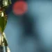 Fifa define data do sorteio da Copa do Mundo Feminina de 2027 no Rio; confira