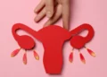 Estudo da USP testa reposição hormonal direcionada durante a menopausa