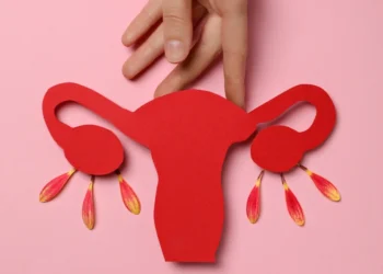 Estudo da USP testa reposição hormonal direcionada durante a menopausa