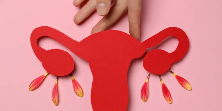 Estudo da USP testa reposição hormonal direcionada durante a menopausa