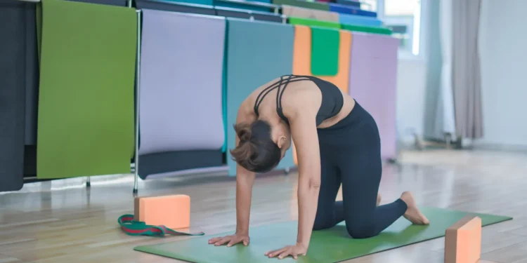 Pilates em casa: fisioterapeuta lista 6 exercícios fáceis e eficazes
