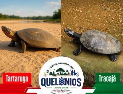 Juruá estreia Festival dos Quelônios com duelo de Tartaruga e Tracajá e estrelas de Parintins