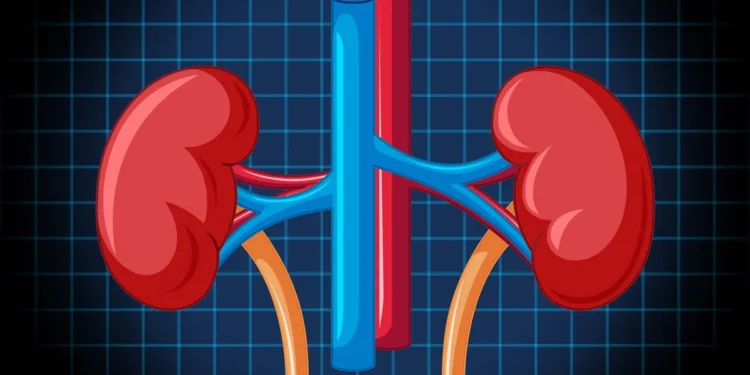 Remédio comum para pressão é associado a maior risco de dano renal em diabéticos