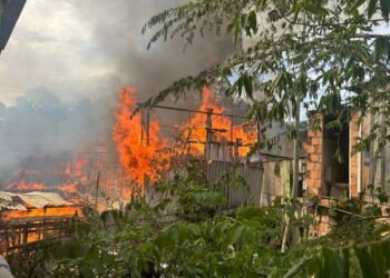 Manaus registra quase 1,2 mil incêndios em 2026; número de ocorrências florestais dispara mais de 300%