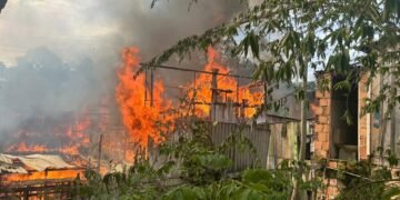 Manaus registra quase 1,2 mil incêndios em 2026; número de ocorrências florestais dispara mais de 300%