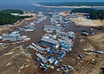 Estiagem preocupa Amazonas e Rio Negro pode registrar uma das maiores vazantes da história