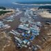 Estiagem preocupa Amazonas e Rio Negro pode registrar uma das maiores vazantes da história