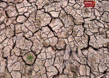 Novo Aripuanã reforça prevenção diante de risco de estiagem e queimadas no Amazonas