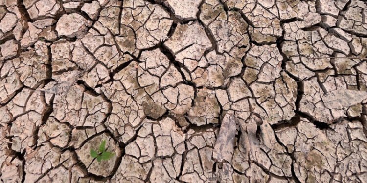 Novo Aripuanã reforça prevenção diante de risco de estiagem e queimadas no Amazonas