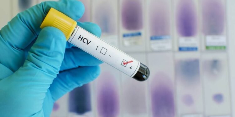 Hepatites virais exigem diferentes formas de prevenção e cuidado; saiba o que o SUS oferece
