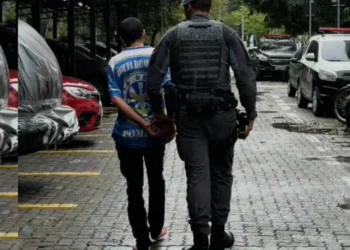 Menino de 8 anos aciona a polícia e ajuda a salvar a mãe após ser esfaqueada pelo pai