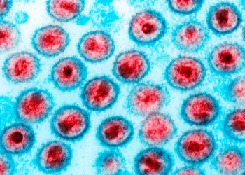Medicamento de câncer reduz células infectadas por HIV em estudo