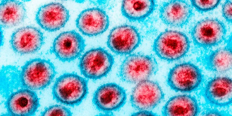 Medicamento de câncer reduz células infectadas por HIV em estudo