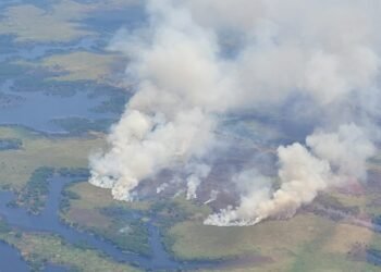 Queimada de grandes proporções chama atenção em área de floresta no caminho para Itacoatiara