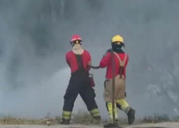 Incêndio se espalha por área de mata e assusta motoristas na Rotatória do Coroado