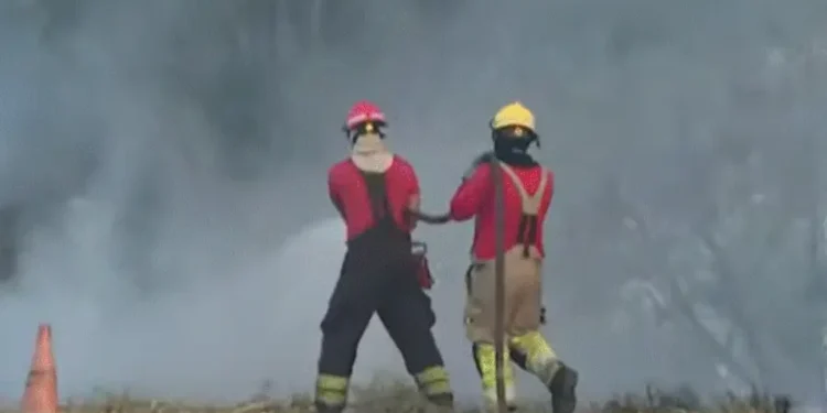 Incêndio se espalha por área de mata e assusta motoristas na Rotatória do Coroado