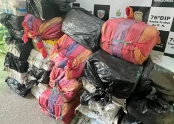 Megaoperação encontra mais de uma tonelada de maconha escondida em casa no interior do Amazonas