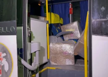 PM apreende 3 toneladas de drogas escondidas em caixas de papelão em Manaus