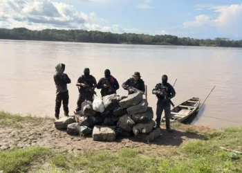 Polícia encontra 752 kg de skunk escondidos em cova no interior do Amazonas