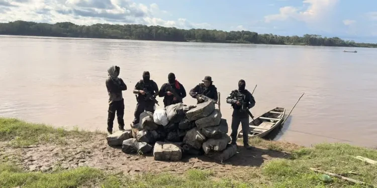 Polícia encontra 752 kg de skunk escondidos em cova no interior do Amazonas