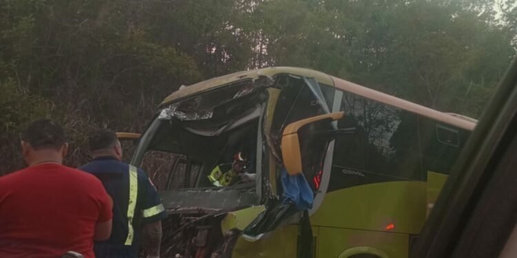 Batida entre ônibus e carreta provoca congestionamento de quilômetros na BR-174, em Manaus