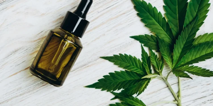 THC da Cannabis pode ajudar a diminuir células agressivas de câncer de mama