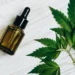 THC da Cannabis pode ajudar a diminuir células agressivas de câncer de mama