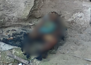 Corpo carbonizado é encontrado na Torquato Tapajós em Manaus