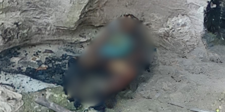 Corpo carbonizado é encontrado na Torquato Tapajós em Manaus