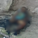 Corpo carbonizado é encontrado na Torquato Tapajós em Manaus