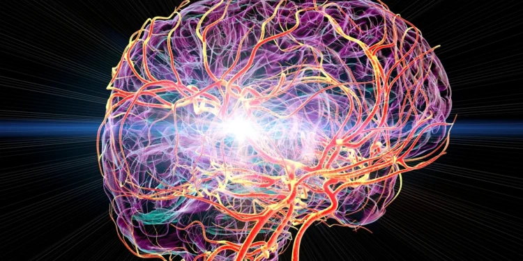 Medula óssea do crânio pode estar ligada à dor crônica, aponta estudo