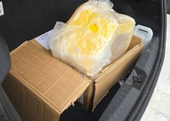 Operação apreende 56 kg de droga escondida em MDF e armas em Manaus