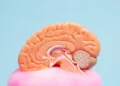 Estimulação cognitiva pode retardar perda de funções no Alzheimer