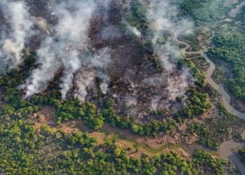 Fogo avança no interior do Amazonas e destrói área de quase mil campos de futebol