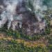 Fogo avança no interior do Amazonas e destrói área de quase mil campos de futebol