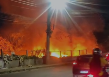 Fogo avança sobre área de mata e mobiliza bombeiros na Zona Leste de Manaus