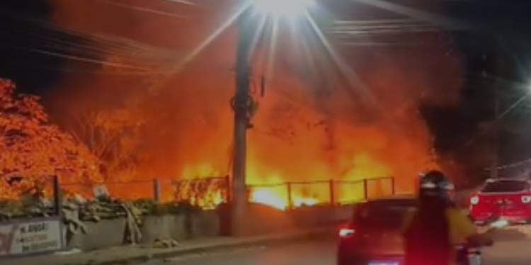 Fogo avança sobre área de mata e mobiliza bombeiros na Zona Leste de Manaus