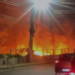 Fogo avança sobre área de mata e mobiliza bombeiros na Zona Leste de Manaus