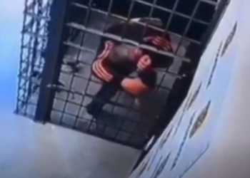 Preso por violência doméstica surpreende policiais e escapa de cela por vão entre grades