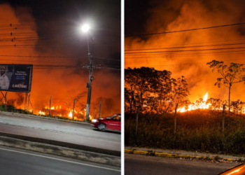 Incêndio atinge área de vegetação na Torquato Tapajós