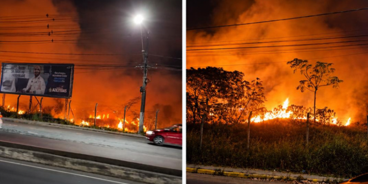 Incêndio atinge área de vegetação na Torquato Tapajós