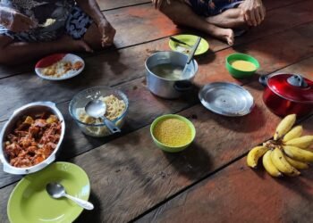 Estudo mostra como mercados locais e modos de vida influenciam alimentação em comunidades amazônicas