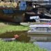 Estudo na FGV alerta para risco de escassez de água em Manaus