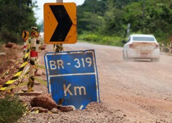 Após retomar obras na BR-319, Lupla cria reservas na área de influência da estrada