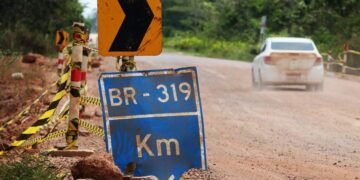 Após retomar obras na BR-319, Lupla cria reservas na área de influência da estrada