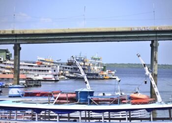 Rio Negro recua mais de 1 metro em oito dias e vazante acelera